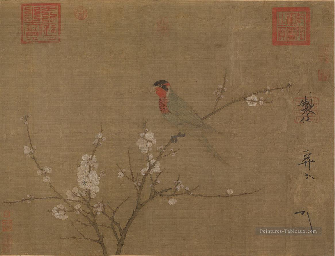 cinq Perruche colorée sur un arbre d’abricot fleurissant 1119 vieille encre de Chine Peintures à l'huile